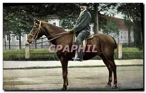 Cartes postales Cheval Hippisme Equitation