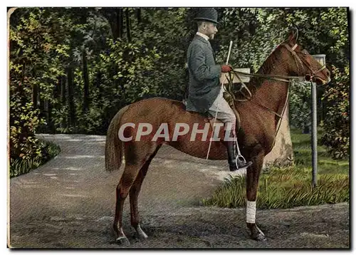 Cartes postales Cheval Hippisme Equitation