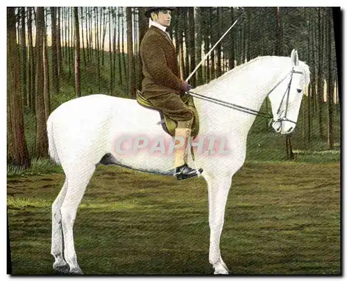 Cartes postales Cheval Hippisme Equitation
