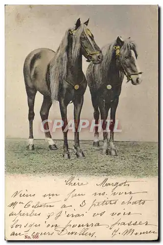 Cartes postales Cheval Hippisme Equitation