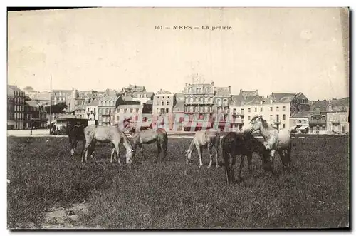 Ansichtskarte AK Cheval Hippisme Equitation Mers La prairie