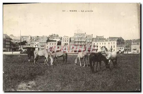 Cartes postales Cheval Hippisme Equitation Mers La prairie