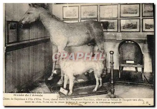 Cartes postales Cheval Hippisme Equitation Paris Musee de l&#39Armee Hotel des Invalides Chien de Napoleon