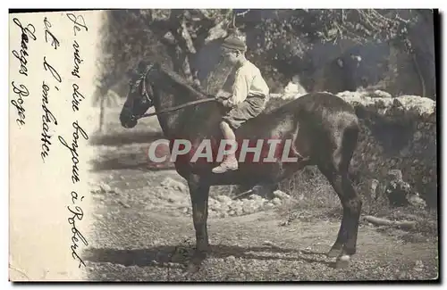 CARTE PHOTO Cheval Hippisme Equitation