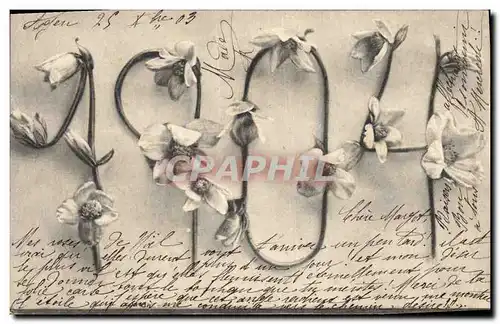 Cartes postales Fantaisie Fleurs Annee 1904