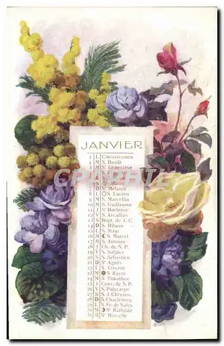 Cartes postales Fantaisie Fleurs Janvier