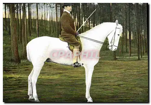 Cartes postales Cheval Hippisme Equitation