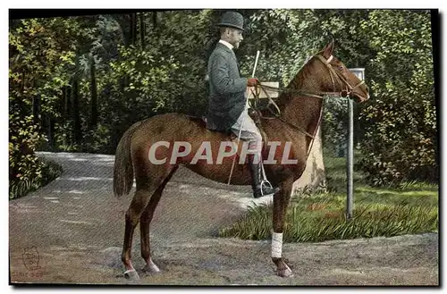 Cartes postales Cheval Hippisme Equitation