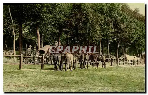 Cartes postales Cheval Hippisme Equitation Beauvais La Place du Franc Marche