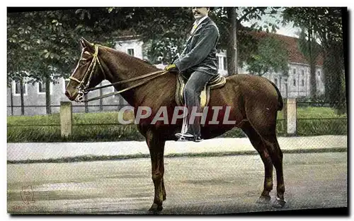 Cartes postales Cheval Hippisme Equitation