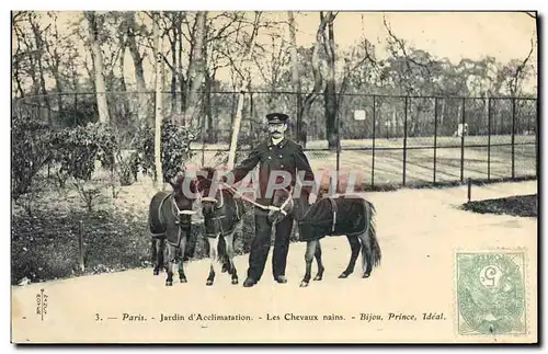 Cartes postales Cheval Hippisme Equitation Paris Jardin d&#39acclimatation Les chevaux nains Bijou Prince Ideal