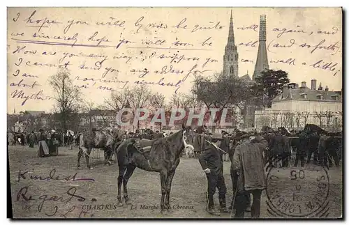 Ansichtskarte AK Cheval Hippisme Equitation Chartres Le marche aux chevaux TOP