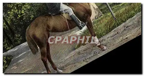 Cartes postales Cheval Hippisme Equitation