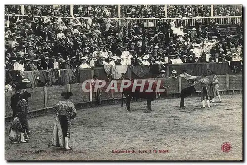 Cartes postales Corrida Course de taureaux Entrante du toro a la mort