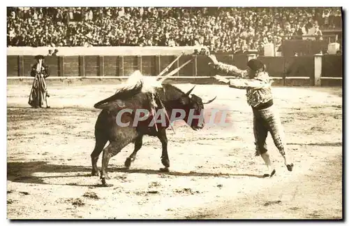 CARTE PHOTO Corrida Course de taureaux