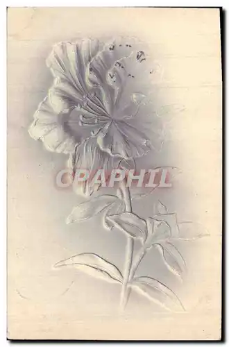 Cartes postales Fantaisie Fleurs