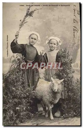 Ansichtskarte AK Folklore Foret de Carnoet a Quimperle Agneau Dans les Genets