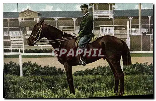 Cartes postales Cheval Equitation Hippisme
