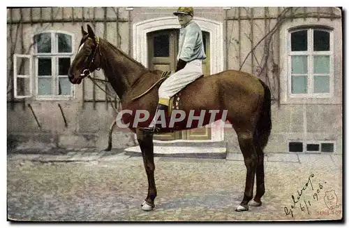 Cartes postales Cheval Equitation Hippisme