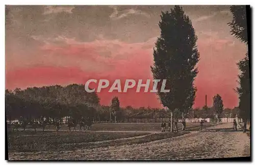 Cartes postales Cheval Equitation Hippisme