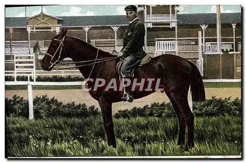 Ansichtskarte AK Cheval Equitation Hippisme