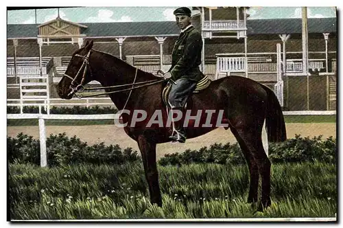 Cartes postales Cheval Equitation Hippisme