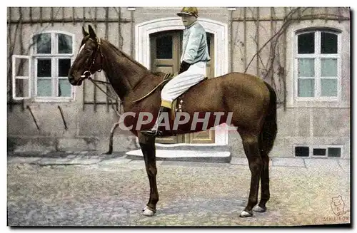 Ansichtskarte AK Cheval Equitation Hippisme