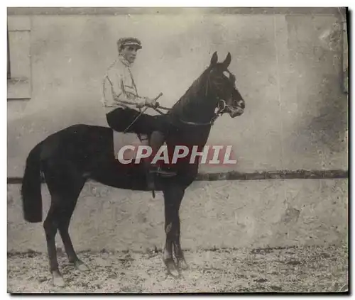 CARTE PHOTO Cheval Equitation Hippisme