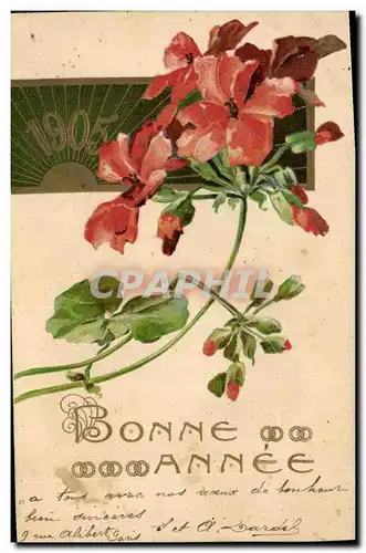Ansichtskarte AK Fantaisie Fleurs Annee 1905