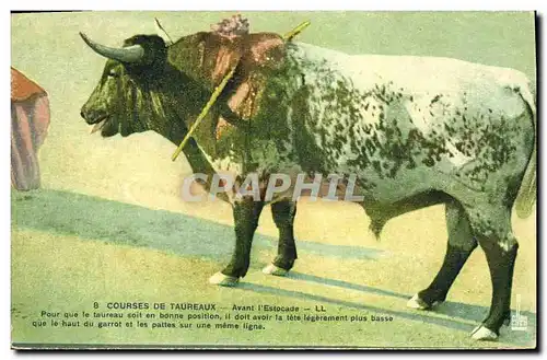 Cartes postales Corrida Course de taureaux Avant l&#39estocade