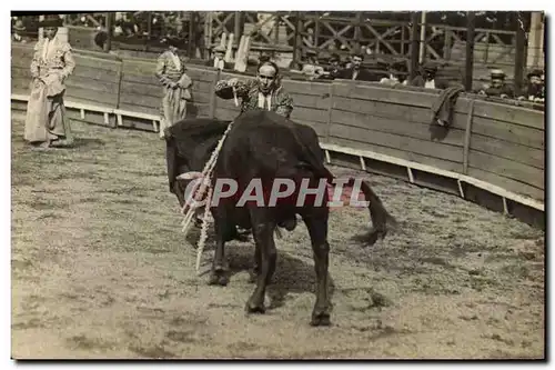 CARTE PHOTO Corrida Course de taureaux