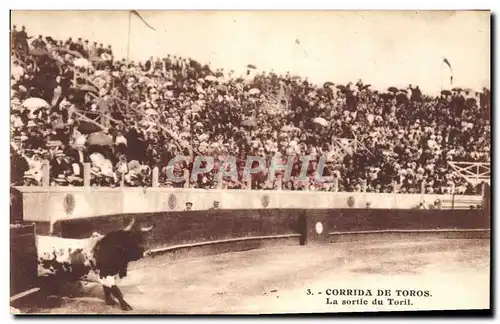 Ansichtskarte AK Corrida Course de taureaux La sortie du Toril