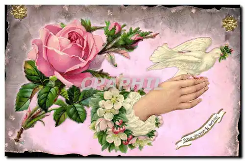 Cartes postales Fantaisie Main Fleurs Colombe