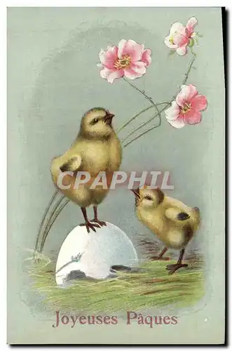 Cartes postales Fantaisie Fleurs Paques Poussins