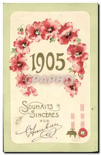 Cartes postales Fantaisie Fleurs Annee 1905