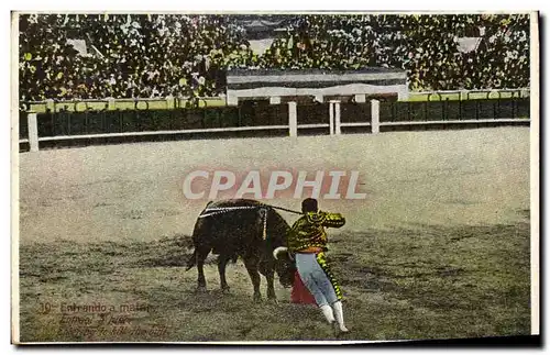 Cartes postales Corrida Course de taureaux