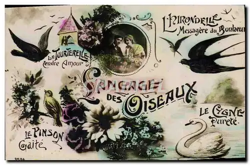 Cartes postales Fantaisie Langage des oiseaux Hirondelle Tourterelle Cygne Pinson