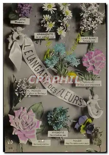 Cartes postales Fantaisie Langage des Fleurs