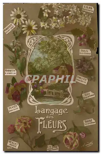 Cartes postales Fantaisie Langage des Fleurs