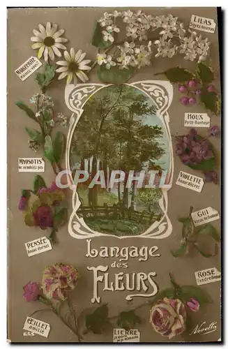 Ansichtskarte AK Fantaisie Langage des Fleurs