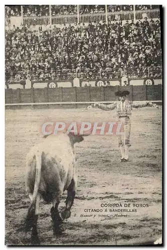 Ansichtskarte AK Corrida Course de taureaux Citando a banderillas