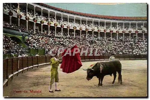 Cartes postales Corrida Course de taureaux Pase de muleta