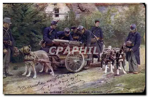 Ansichtskarte AK Militaria LVC Mitrailleuses Belges Voiture a Chiens Chien