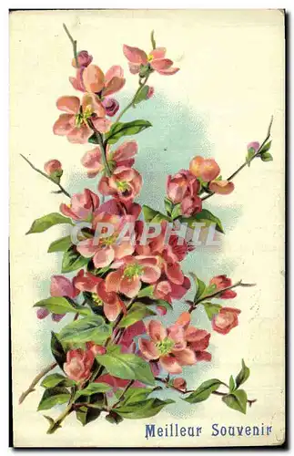 Cartes postales Fantaisie Fleurs