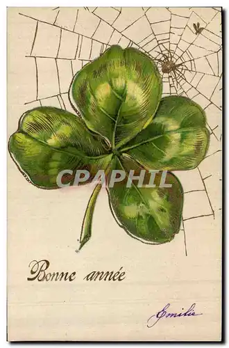 Cartes postales Fantaisie Fleurs Toile d&#39araignee