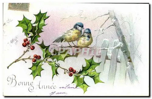 Cartes postales Fantaisie Fleurs Oiseaux