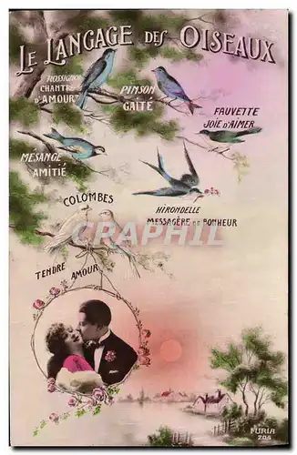 Cartes postales Fantaisie Le langage des oiseaux