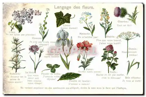 Cartes postales Fantaisie Le langage des fleurs