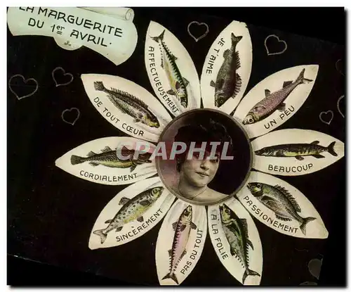Cartes postales Fantaisie Fleurs Marguerite du 1er Avril Poissons Trefle