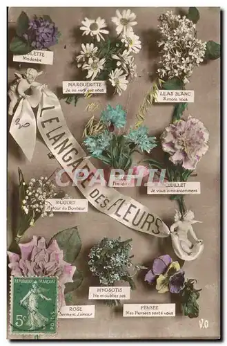 Cartes postales Fantaisie Le langage des Fleurs